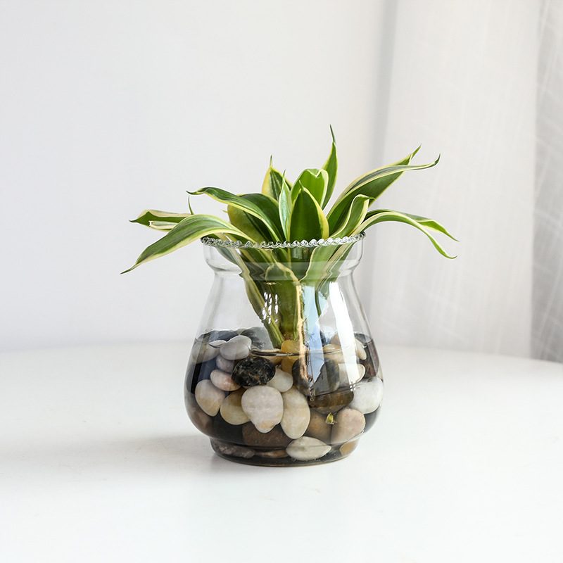 Wholesale Glass Vase HP-043 - Image 6